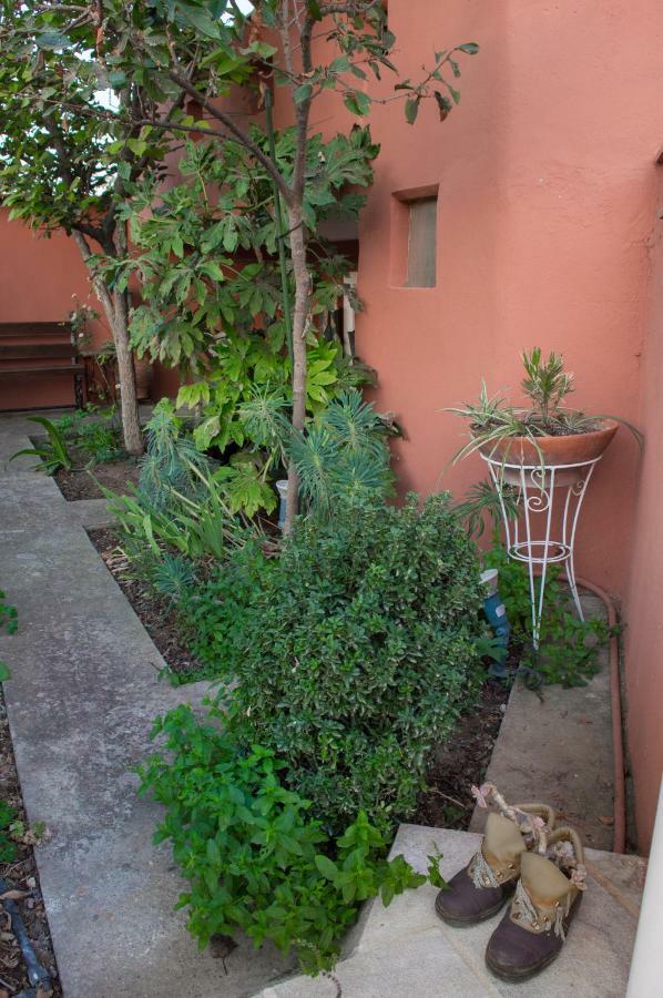 The House Dimitra Nea Fokaia Villa Bagian luar foto